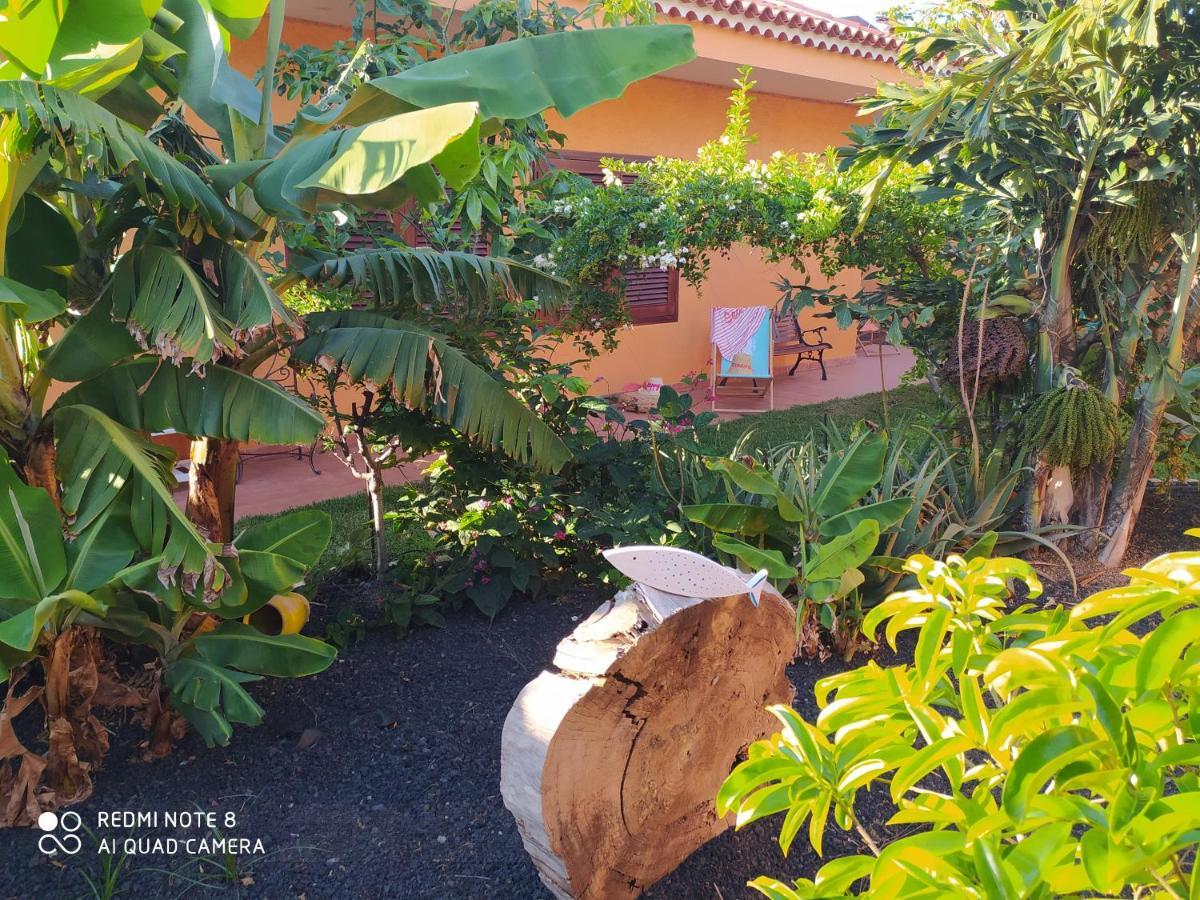 Villa Energy Garden Bajamar  Exterior foto